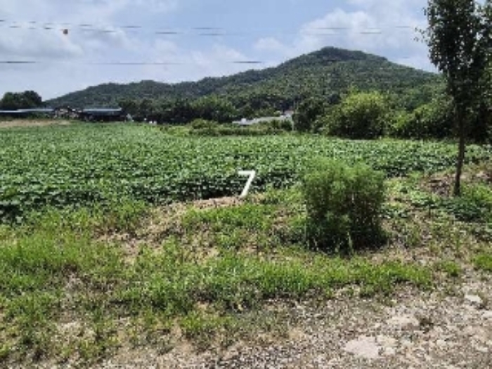 경기도 여주시 대신면 천남리 255-1 사진 1