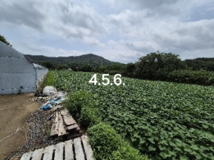 경기도 여주시 대신면 천남리 255-1 사진 3