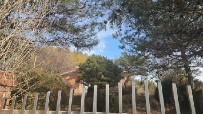 울산광역시 울주군 두서면 활천리 462