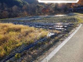 강원특별자치도 홍천군 내면 율전리 265 사진 1