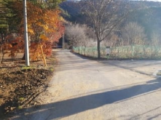 강원특별자치도 홍천군 내면 율전리 265 사진 3