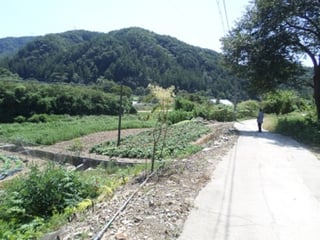 강원특별자치도 횡성군 청일면 청일로779번길 139 사진 1