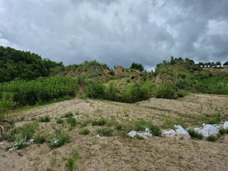 강원특별자치도 횡성군 우천면 우항리 산14-2 사진 3