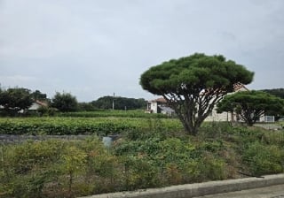 충청북도 충주시 동량면 용교리 210-19 사진 3