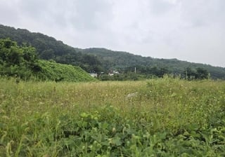 충청북도 음성군 삼성면 용성리 552-12 사진 2