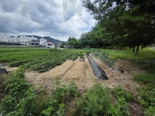 충청북도 제천시 왕암동 910 사진 1