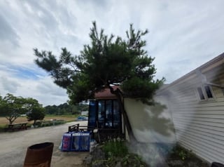 충청북도 제천시 고암동 111-5 사진 3