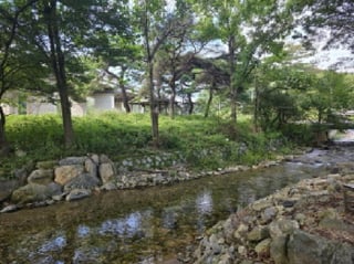 충청북도 제천시 봉양읍 명도리 95-8 사진 1