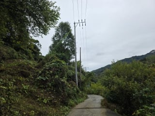충청북도 제천시 송학면 송한리 383 사진 2