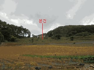 충청북도 단양군 영춘면 오사리 185 사진 3