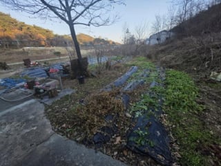충청북도 제천시 송학면 포전리 311 사진 1