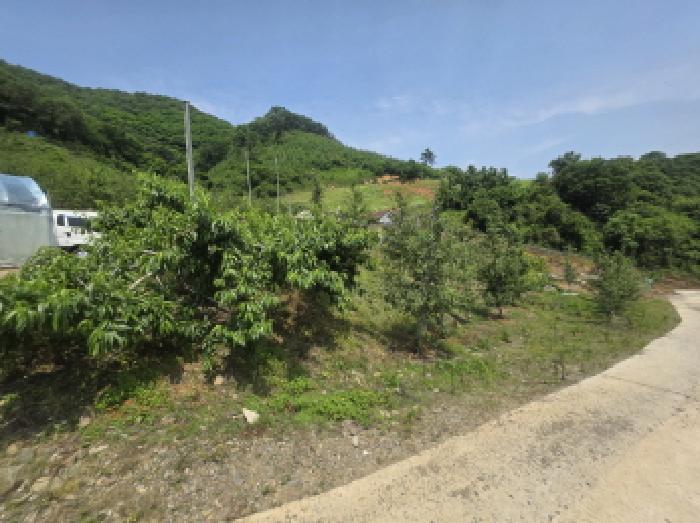 충청북도 제천시 청풍면 연론리 466 사진 3