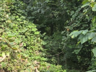 충청북도 제천시 한수면 송계리 668 사진 2
