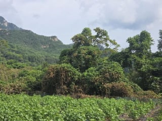 충청북도 제천시 한수면 송계리 668 사진 3