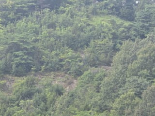 충청북도 제천시 수산면 내리 산29-2 사진 1