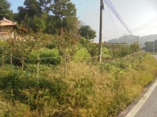 충청남도 부여군 규암면 금암리 366-2 사진 1