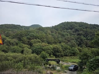 경상북도 청도군 운문면 지촌리 1170 사진 2