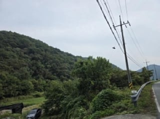 경상북도 청도군 운문면 지촌리 1170 사진 3