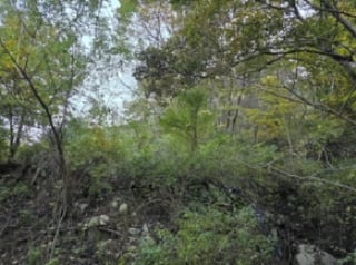 경상북도 청도군 매전면 하평리 1208 사진 3