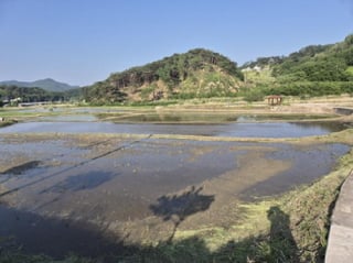 경상북도 울진군 온정면 온정리 559 사진 1