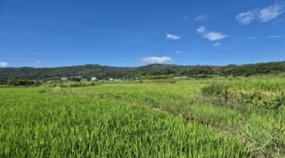 경상북도 포항시 북구 기계면 성계리 1158 사진 2