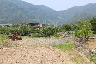 경상남도 밀양시 청도면 인산리 988 사진 3