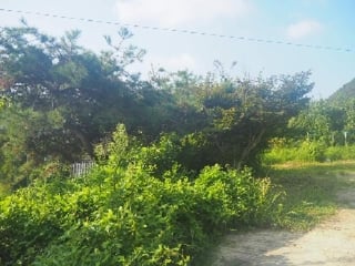 경상남도 밀양시 삼랑진읍 미전리 418 사진 1