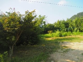 경상남도 밀양시 삼랑진읍 미전리 418 사진 2
