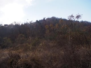 경상남도 창녕군 계성면 봉산리 671 사진 3