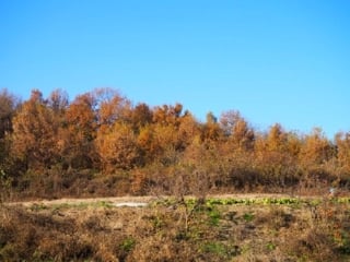 경상남도 창녕군 남지읍 성사리 1299 사진 3