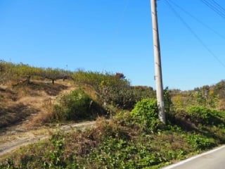 경상남도 창녕군 대합면 등지리 617-1 사진 3