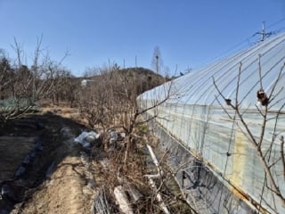 광주광역시 서구 마륵동 332-3 사진 3