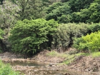 전라남도 곡성군 석곡면 염곡리 1722 사진 1