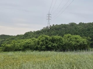 전라남도 장성군 삼계면 화산리 209 사진 1