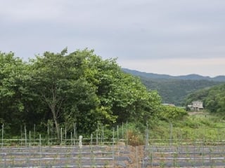전라남도 장성군 삼계면 화산리 209 사진 2