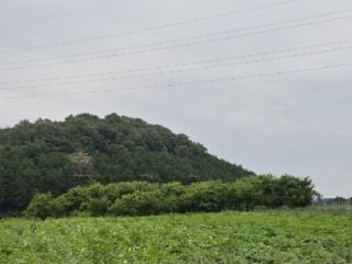 전라남도 장성군 삼계면 화산리 209 사진 3