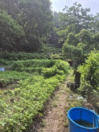 광주광역시 동구 지산동 18 사진 1