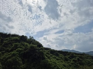 전라남도 곡성군 목사동면 용봉리 495 사진 1