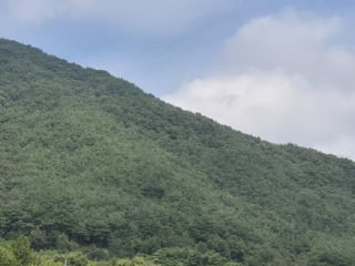 전라남도 곡성군 목사동면 용봉리 495 사진 2