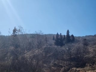 전라남도 담양군 월산면 중월리 217-1 사진 1