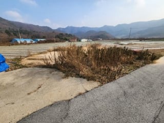 전북특별자치도 부안군 변산면 운산리 146 사진 2