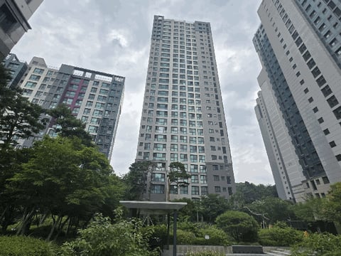 물건 사진 12