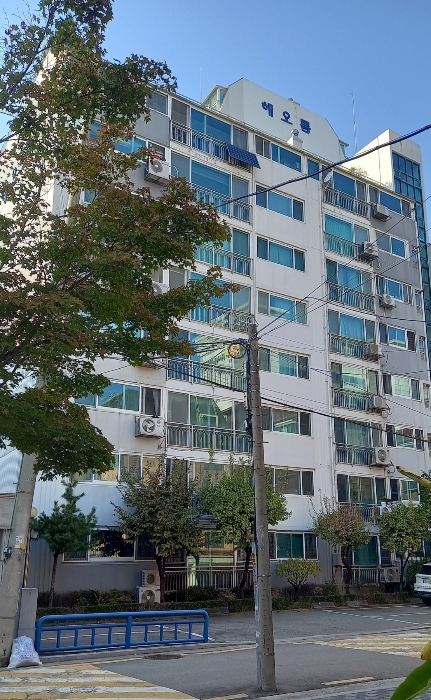 물건 사진 7
