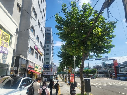 물건 사진 6