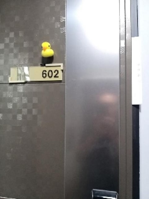 물건 사진 6