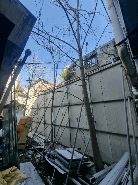 물건 사진 21