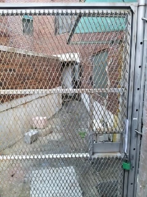 물건 사진 7