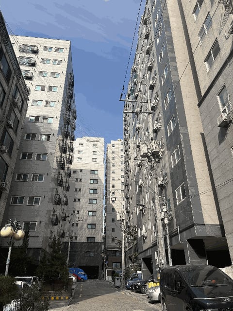 물건 사진 10
