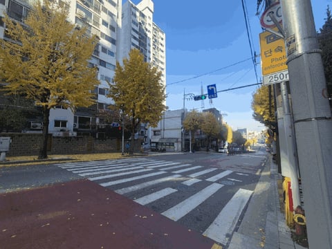 물건 사진 10
