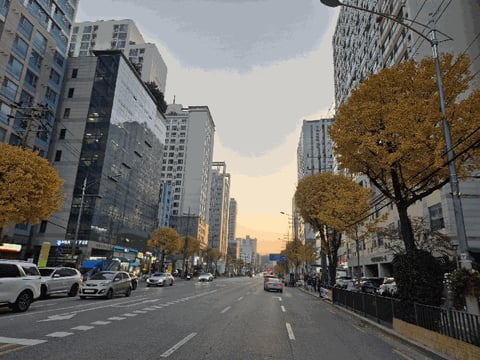 물건 사진 8